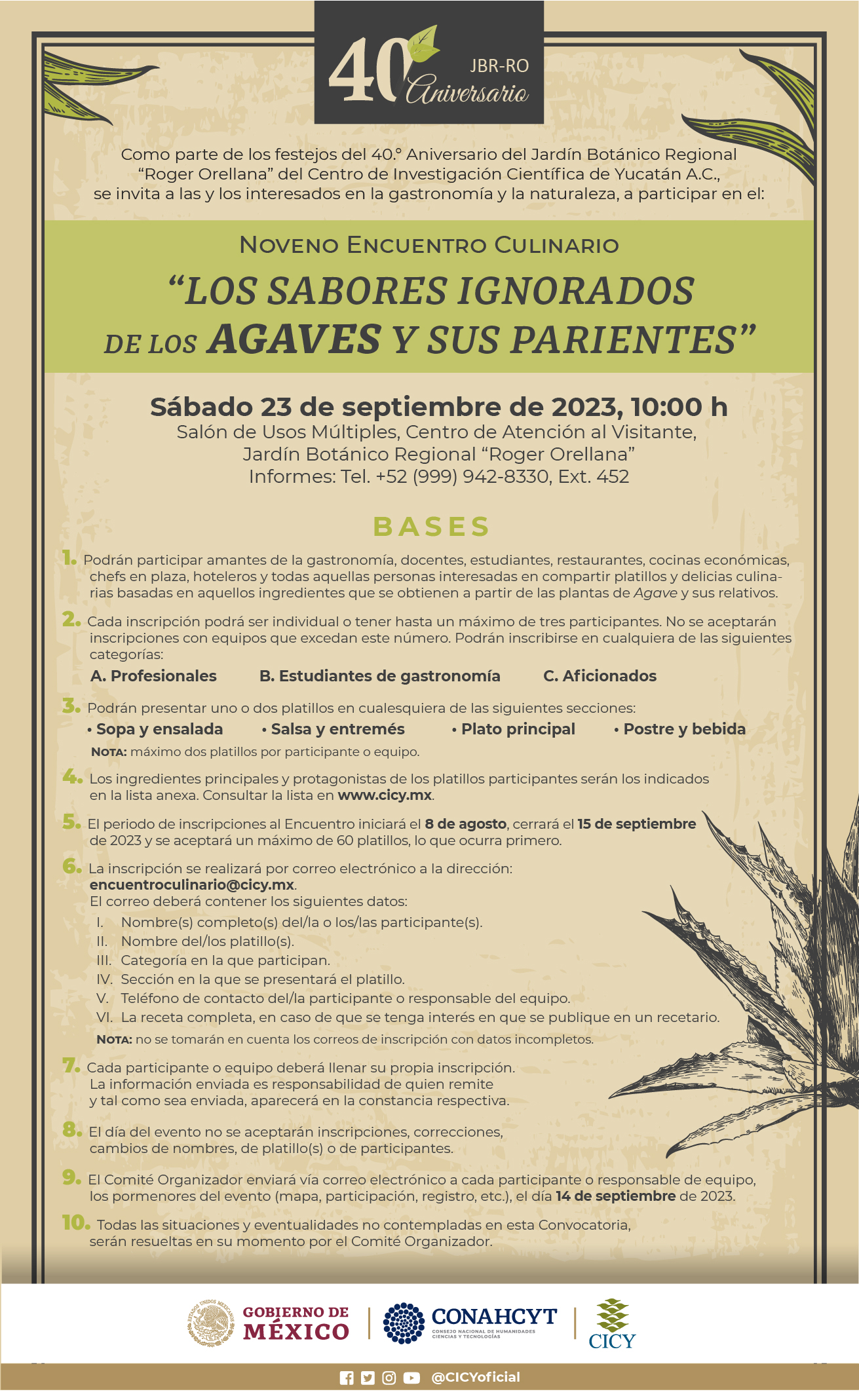 Encuentro culinario